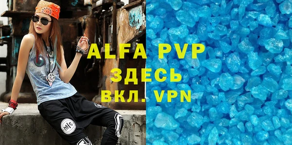прущие грибы Белокуриха