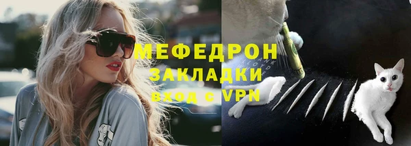 прущие грибы Белокуриха