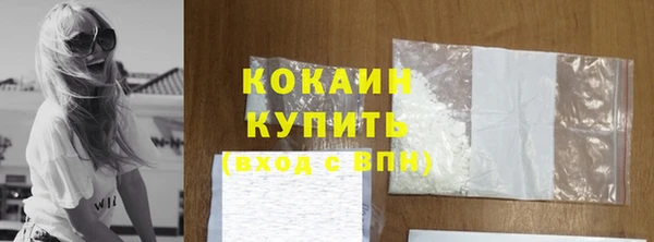 прущие грибы Белокуриха