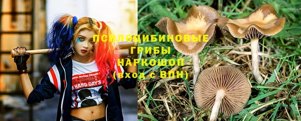 тгк Беломорск