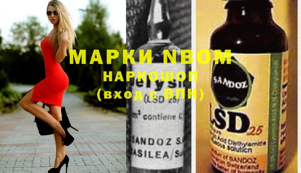 прущие грибы Белокуриха
