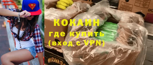 прущие грибы Белокуриха