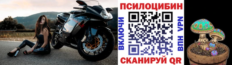 блэк спрут как войти  Ужур  Псилоцибиновые грибы Magic Shrooms 